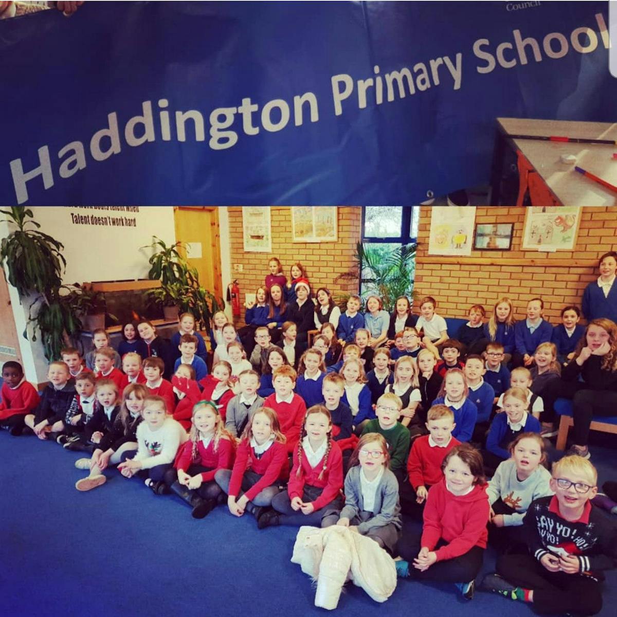 Haddington Primary School