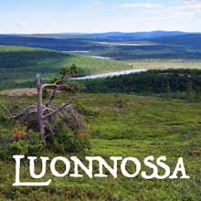 Luonnossa