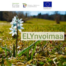 ELYnvoimaa